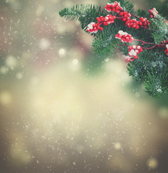 Similar image 13088235