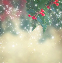 Similar image 13088254