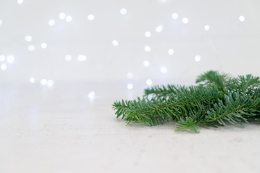 Similar image 13088654