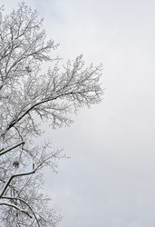 Similar image 13088058