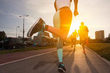 Similar image 13084599