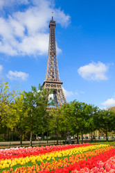 Similar image 13088098