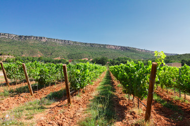 Similar image 13088376