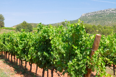 Similar image 13088397