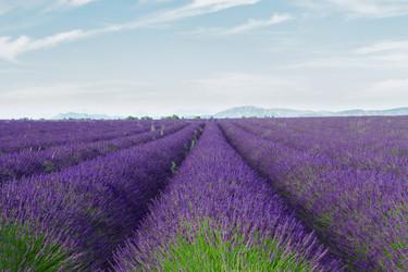 Similar image 13088738