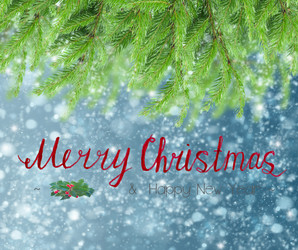 Similar image 13088558