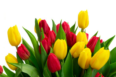 Similar image 13088281