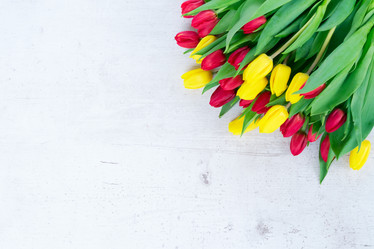 Similar image 13088339