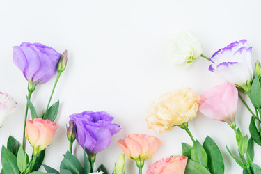 Similar image 13088522