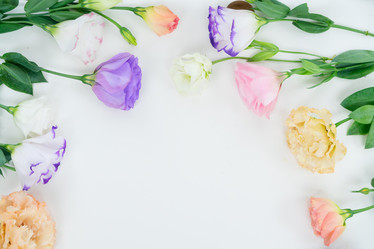 Similar image 13088523