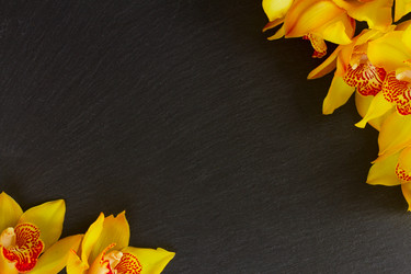 Similar image 13088597