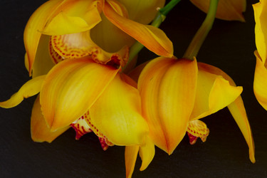 Similar image 13088621