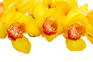 Similar image 13088636