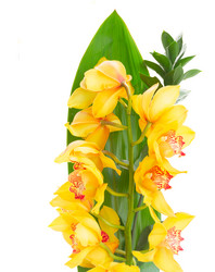 Similar image 13088655