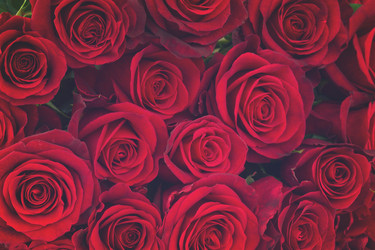 Similar image 13088575