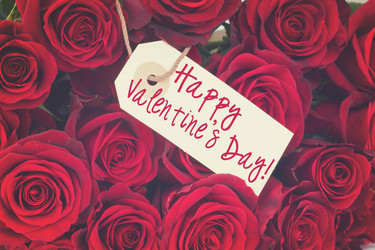 Similar image 13088576