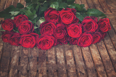 Similar image 13088759