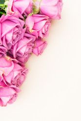 Similar image 13088599