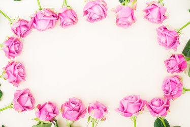 Similar image 13088622