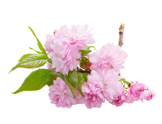 Similar image 13088836