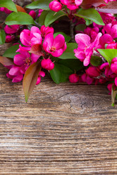 Similar image 13088742