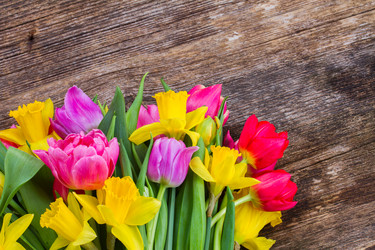 Similar image 13088477