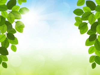 Similar image 13105265