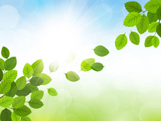 Similar image 13105270