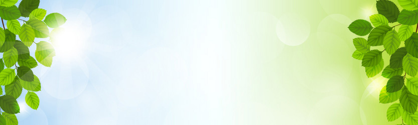 Similar image 13105271