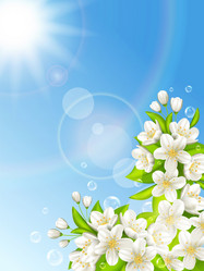 Similar image 13105273