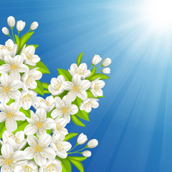 Similar image 13105285