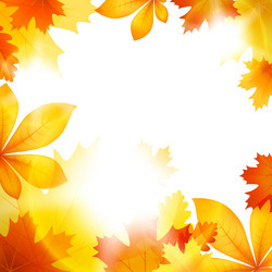 Similar image 13105029