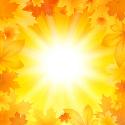 Similar image 13105032