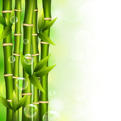 Similar image 13107615