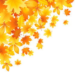 Similar image 13105037