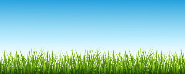 Similar image 13105100