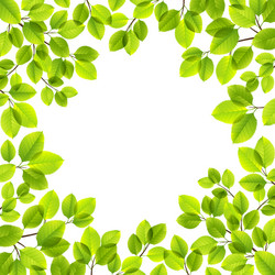 Similar image 13105120