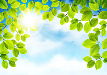 Similar image 13105176