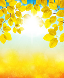 Similar image 13105178