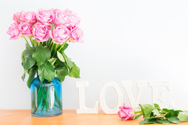 Similar image 13088402