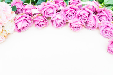 Similar image 13088423