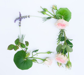 Similar image 13088199