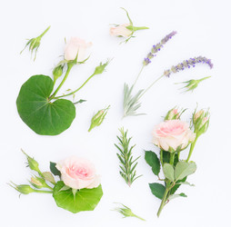 Similar image 13088223