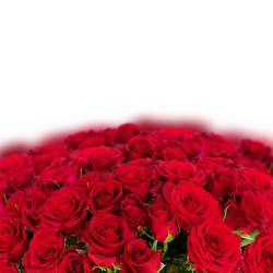 Similar image 13088563