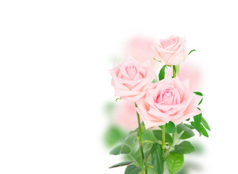 Similar image 13088602