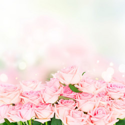 Similar image 13088603