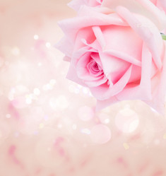 Similar image 13088623