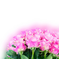 Similar image 13088638