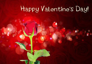 Similar image 13088700