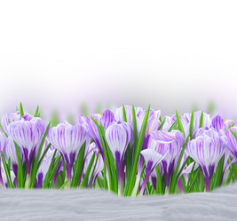 Similar image 13088763